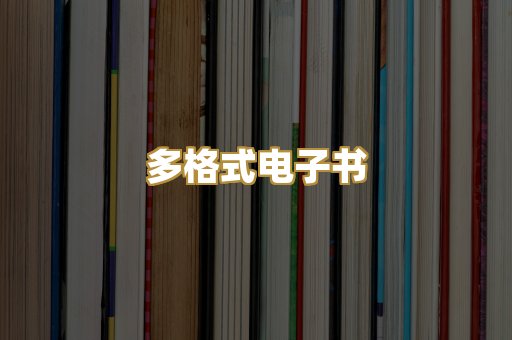 多格式电子书
